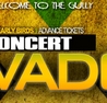 MAVADO Live In Concert - Hamilton - 28D0F20B